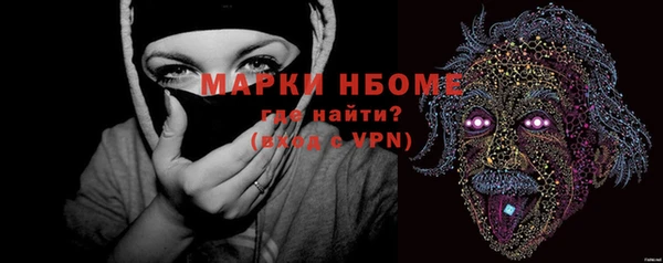 хмурый Алексин