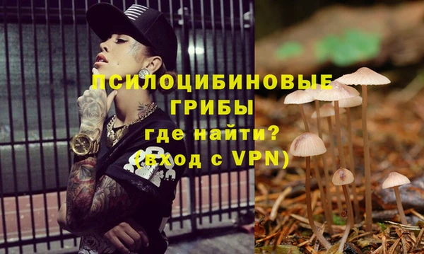 ECSTASY Алексеевка