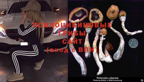 ECSTASY Алексеевка