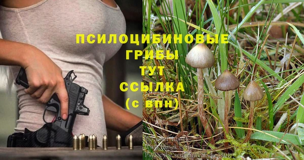 хмурый Алексин
