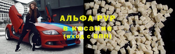 ECSTASY Медвежьегорск
